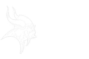 Vikings 300X200