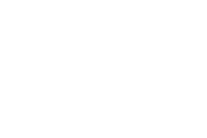 Aspire 300X200